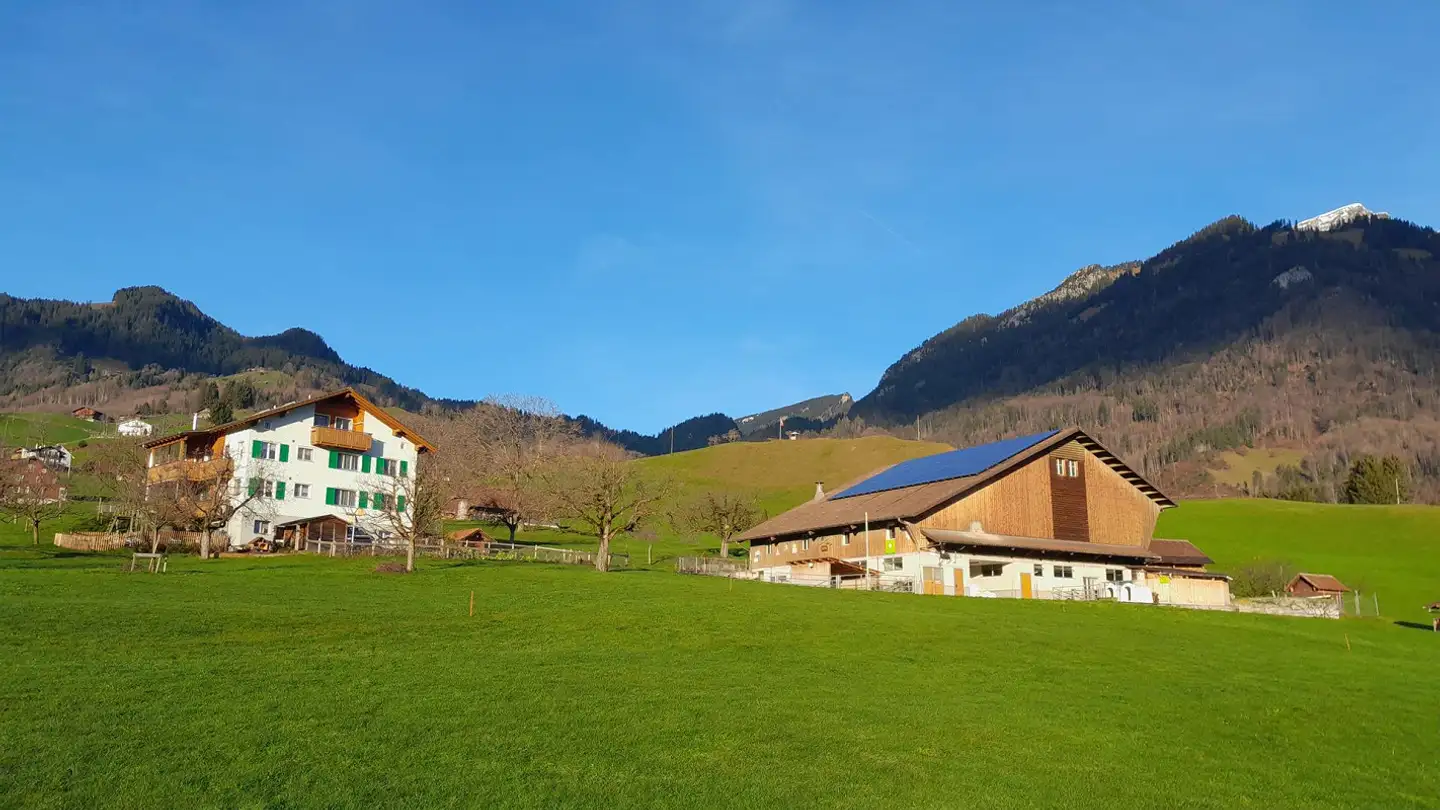 Appartement à louer - 6055 Alpnach Dorf