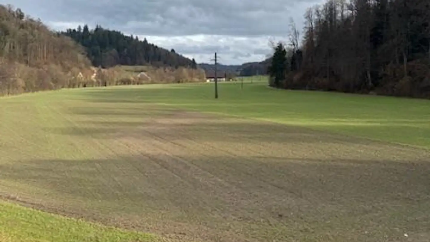 Attico in affitto - Hermenweg 3, 5040 Schöftland