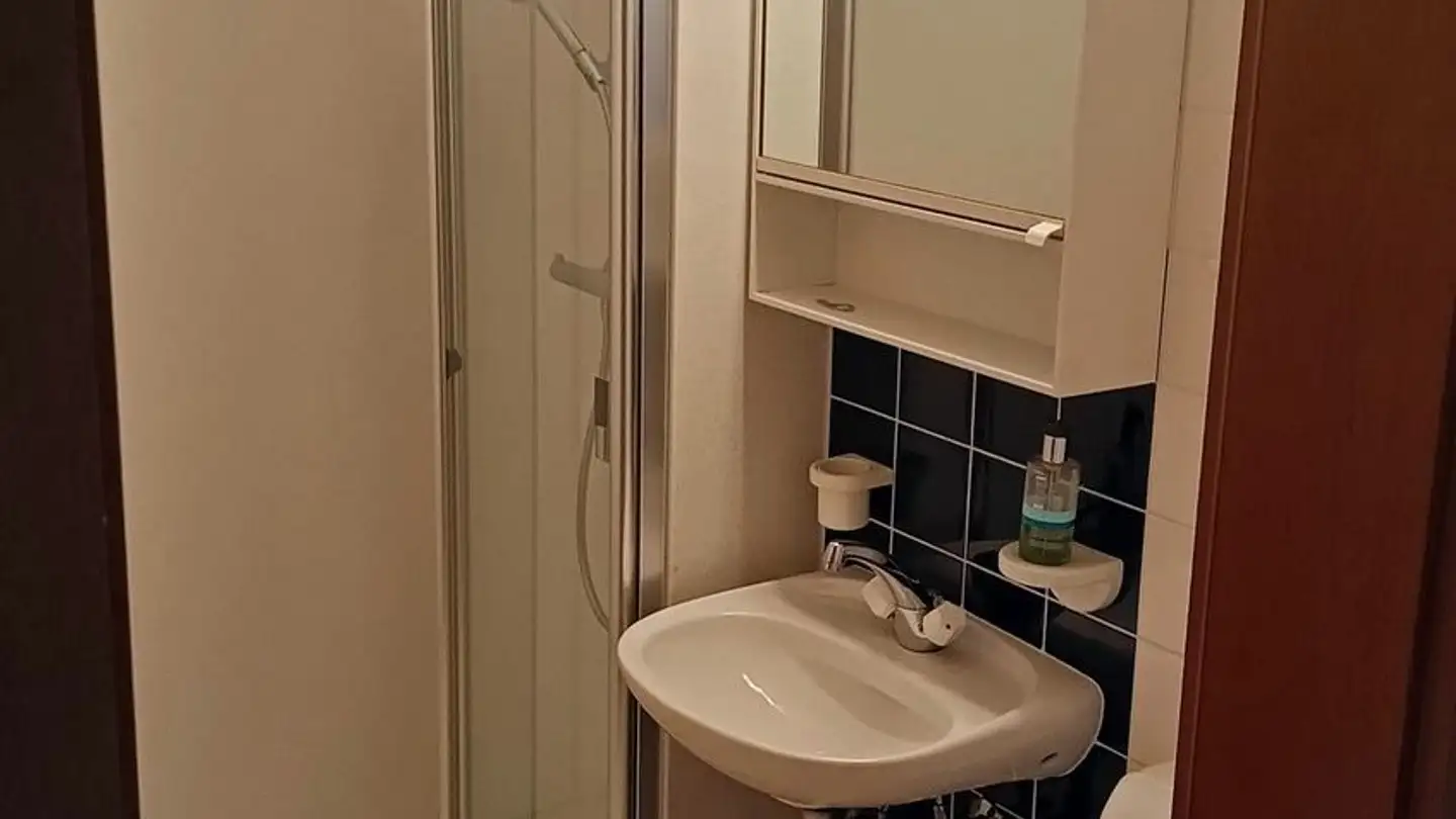 Appartamento in affitto - Kehlhofstrasse 20, 8542 Wiesendangen - Foto 4