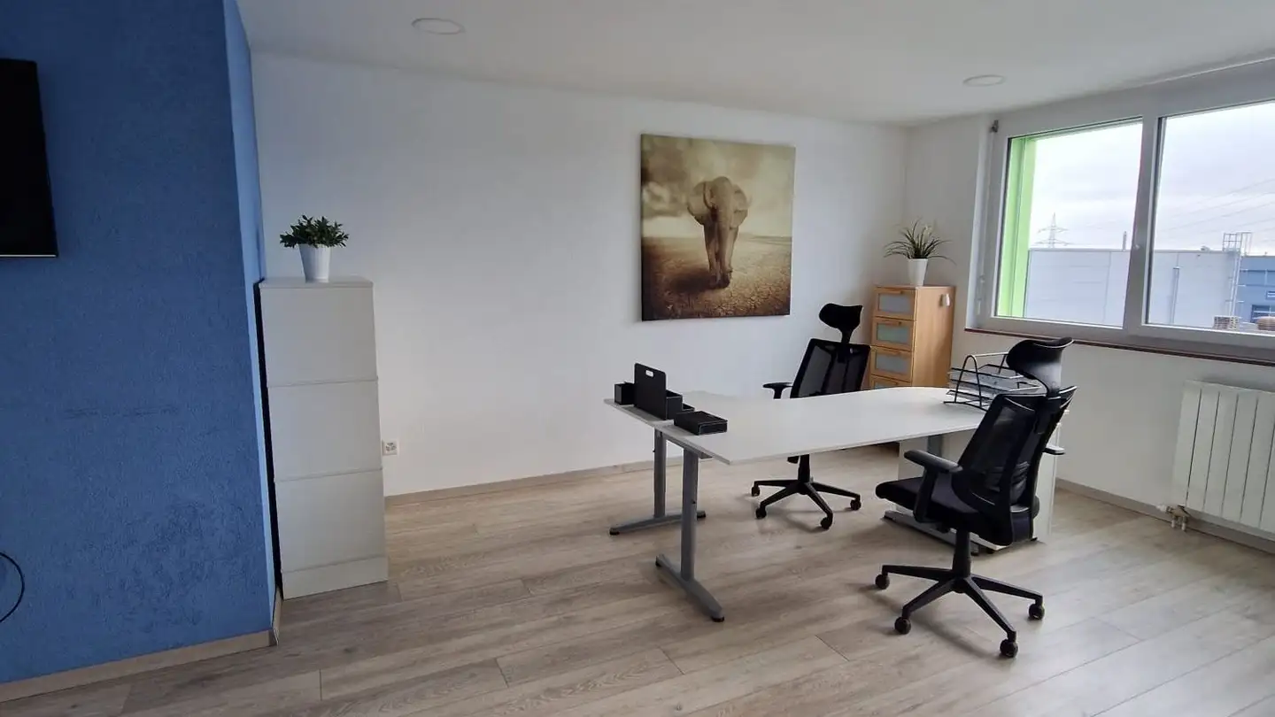 Bureau à louer - Route De Bellevue 9, 1029 Villars-Ste-Croix - Photo 4