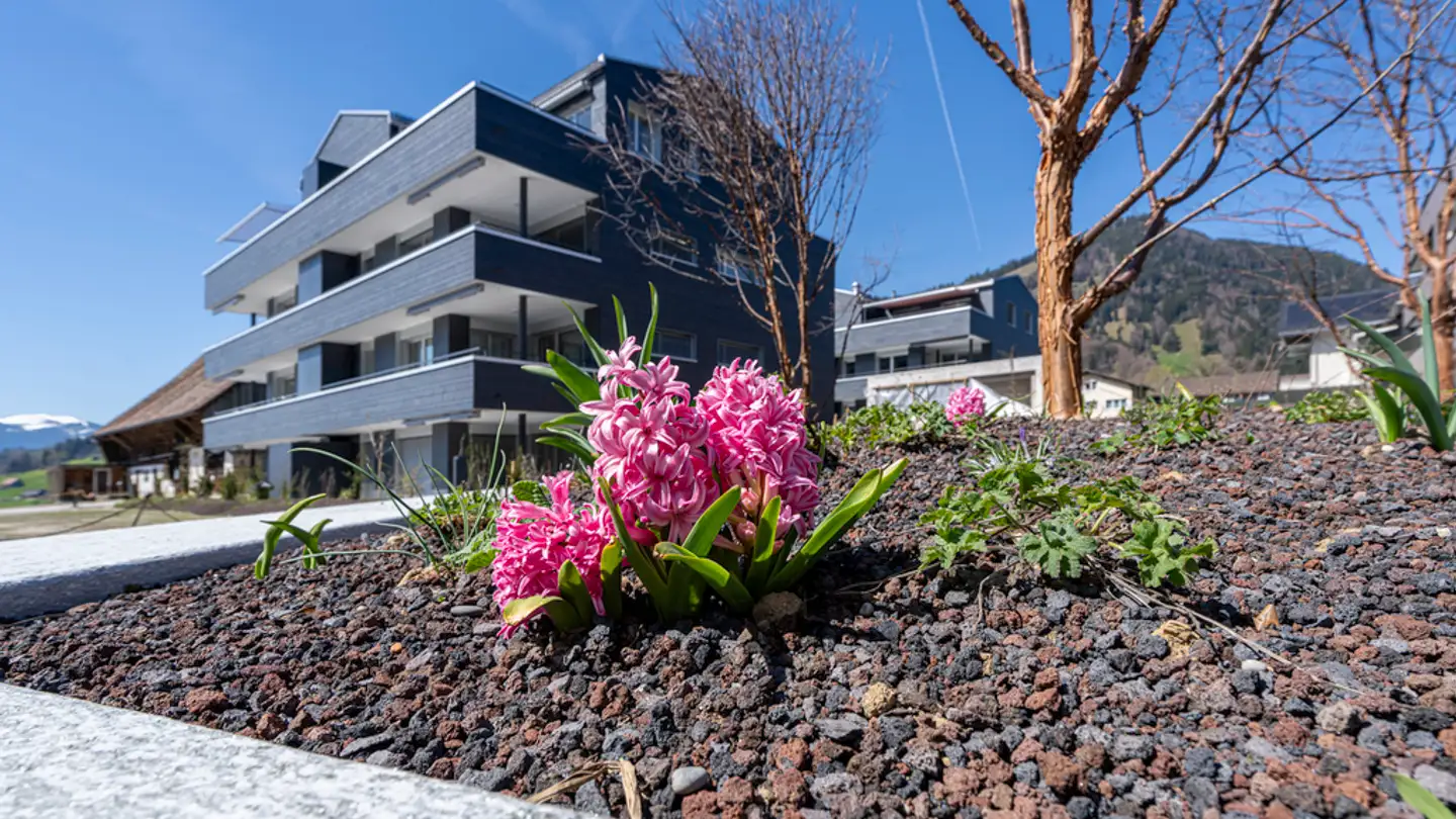 Appartamento in affitto - Postgässli 7, 6417 Sattel