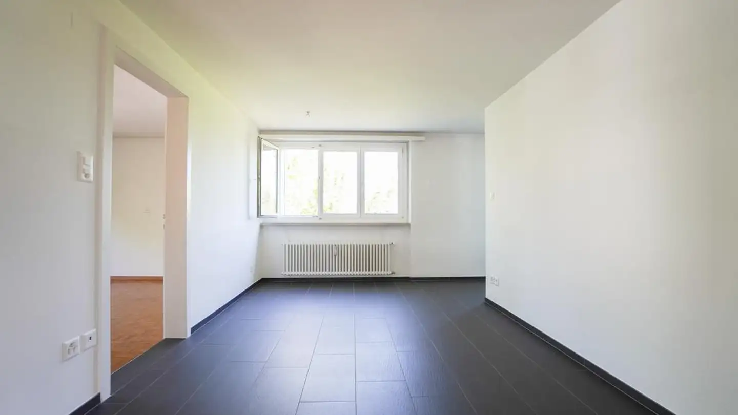 Appartamento in affitto - Trogenerstrasse 3, 9042 Speicher - Photo 4