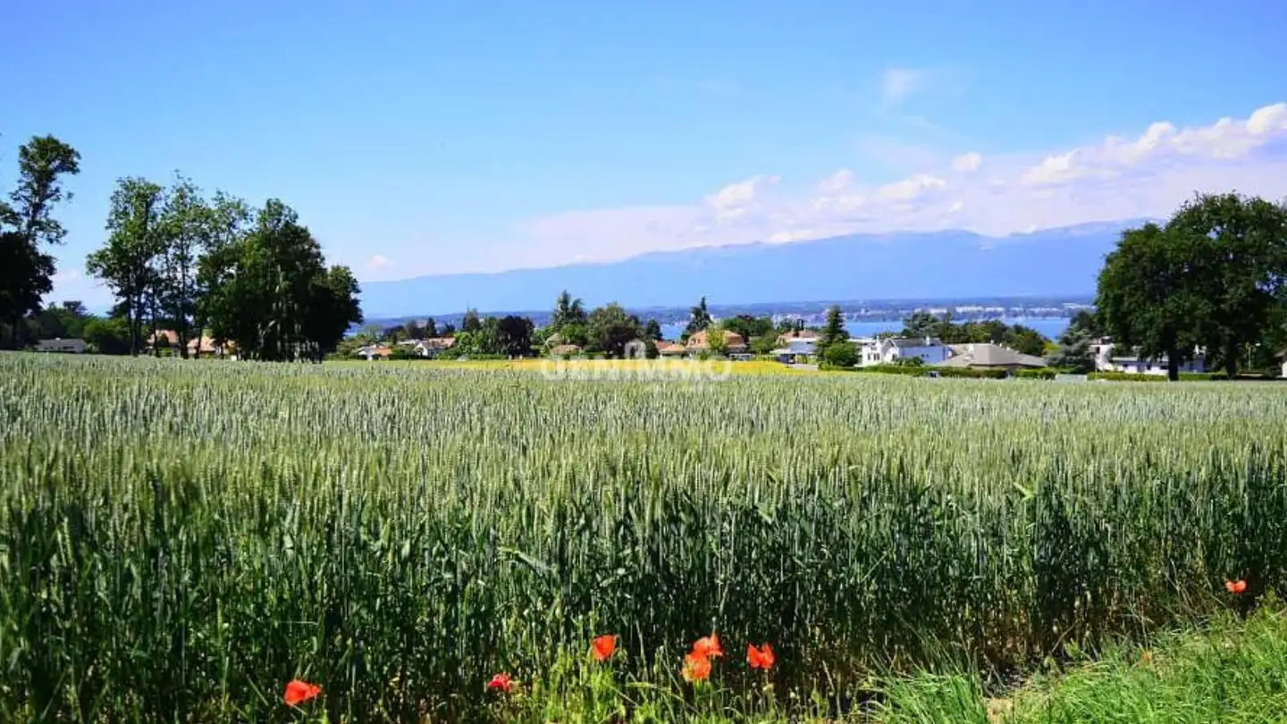 Row house for sale - 1247 Anières