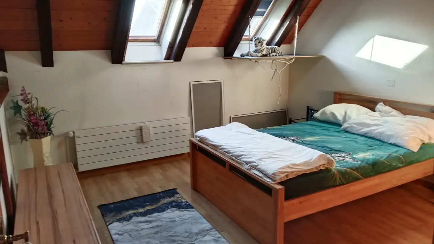 Single room for rent - 9450 Altstätten SG - Photo 4