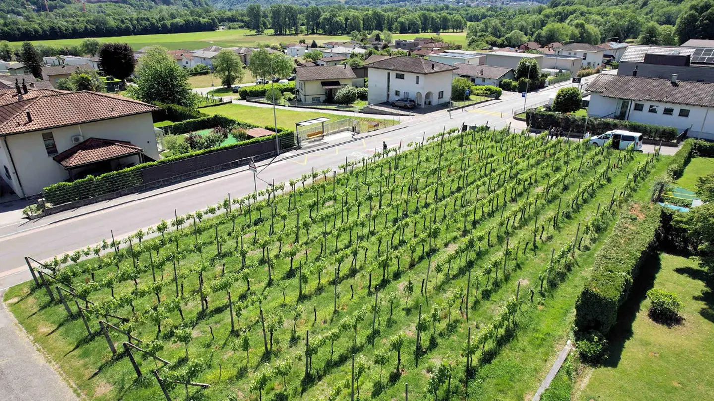 Terreno edificabile in vendita - Via Cantonale, 6518 Gorduno