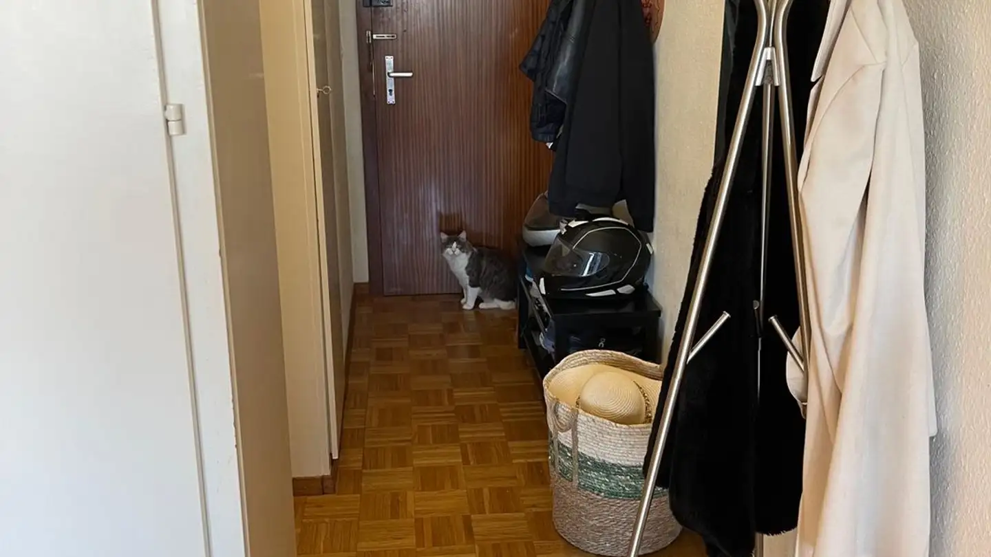 Appartement à louer - Rue De Carouge 28, 1205 Genève - Photo 4