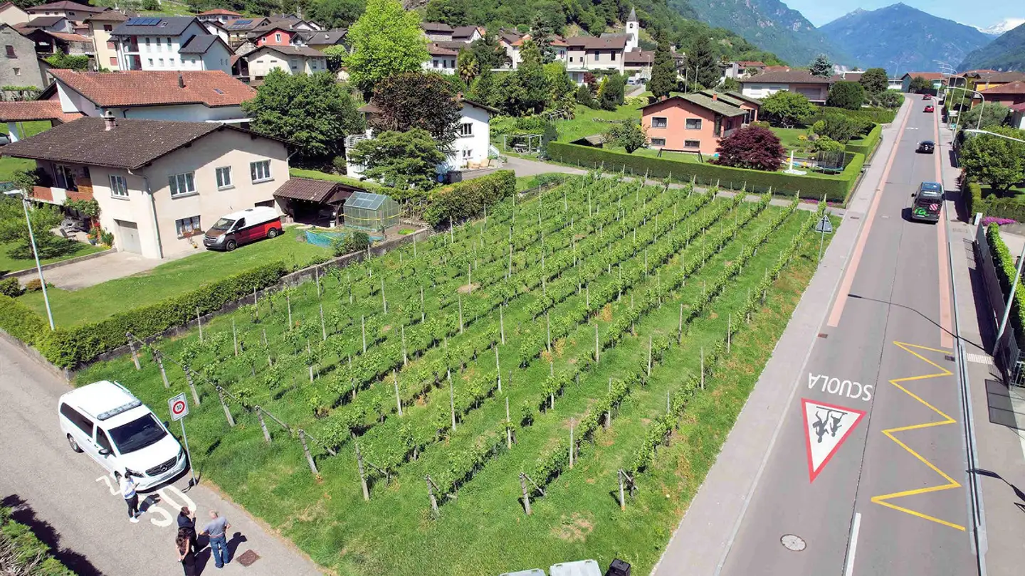 Terreno edificabile in vendita - Via Cantonale, 6518 Gorduno - Foto 2