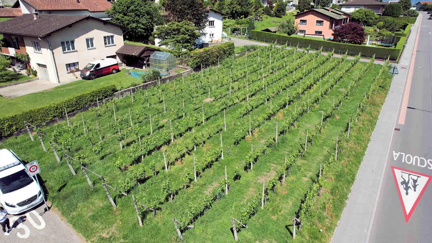 Terreno edificabile in vendita - Via Cantonale, 6518 Gorduno - Foto 3