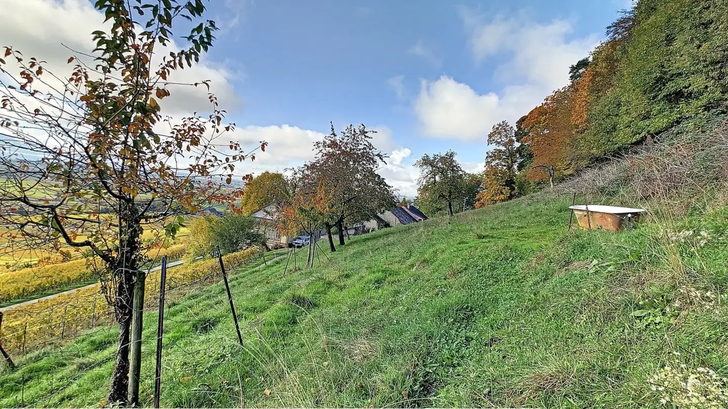 Farm for sale - 1184 Luins - Photo 4