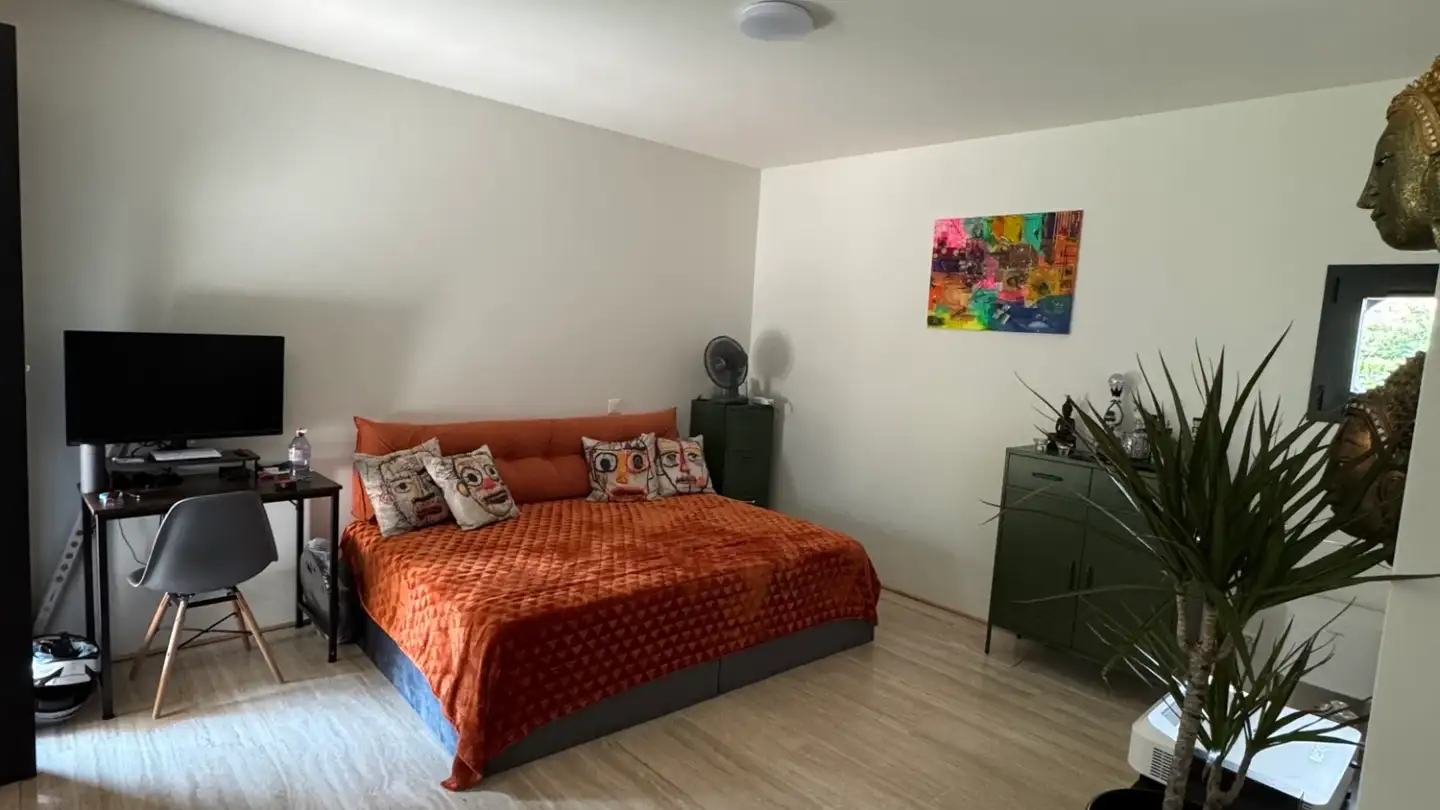 Appartement à louer - Via Case Conti 2, 6616 Losone