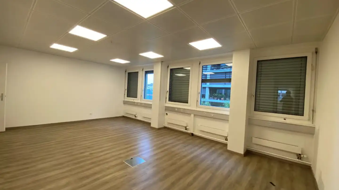 Commerciale in affitto - Rue François- Perréard 18, 1225 Chêne-Bourg - Foto 4