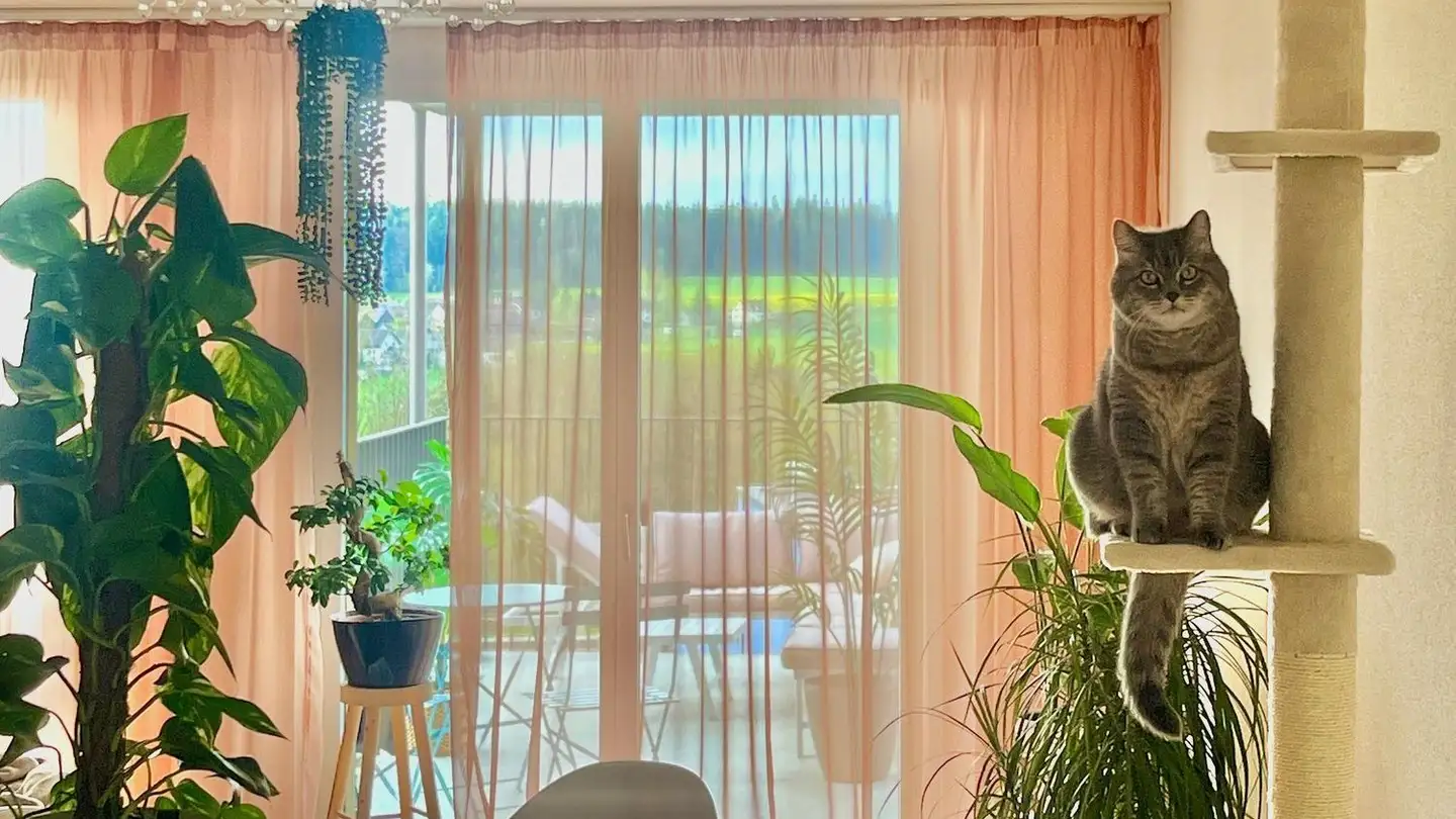 Appartement meublé à louer - Ankenbüel, 8126 Zumikon