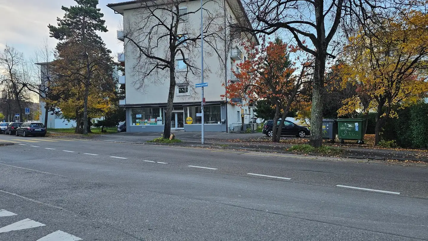 Wohnung mieten - Fellenbergstrasse 166, 8047 Zürich