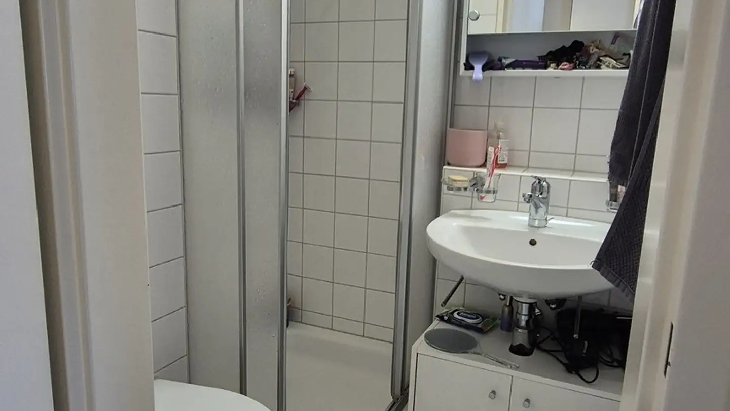 Wohnung mieten - Mühlezelgstrasse 26, 8047 Zürich - Foto 2