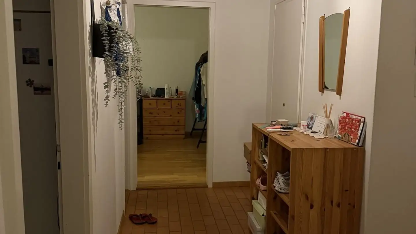 Appartamento in affitto - Wehntalerstrasse 523, 8046 Zürich