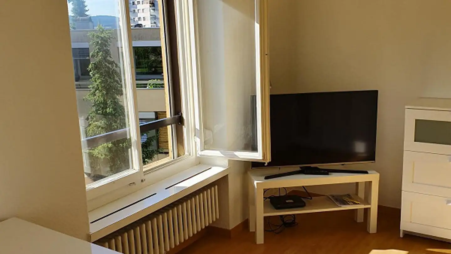 Appartamento ammobiliato in affitto - Triemlistrasse 145, 8047 Zürich - Foto 3
