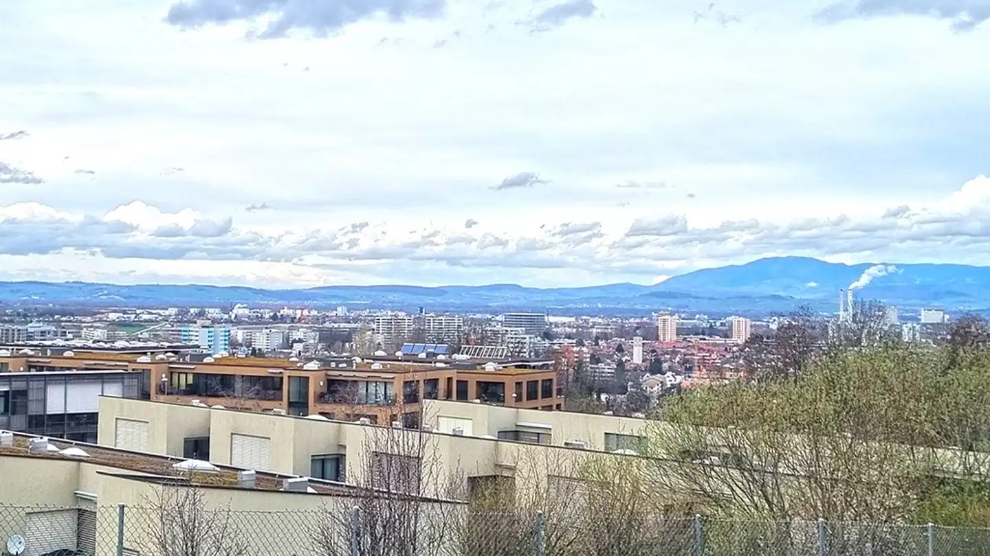 Maison individuelle à vendre - 4123 Allschwil