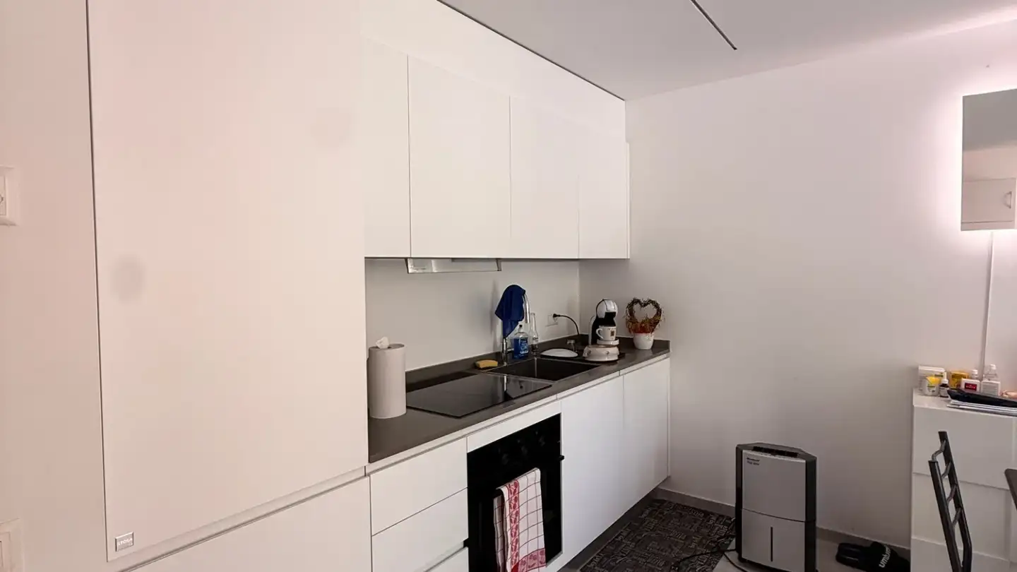 Apartment for rent - Via Arbostora 15, 6913 Carabbia - Photo 4