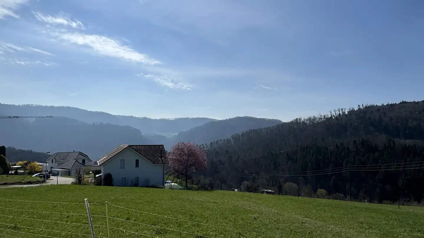 Bauland kaufen - 4254 Liesberg Dorf
