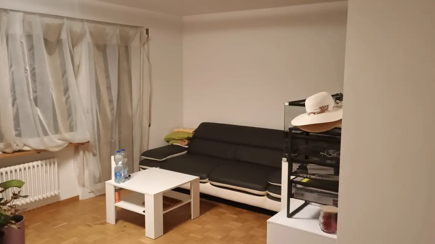 Appartamento in affitto - Landvogt-Waser-Strasse 14, 8405 Winterthur