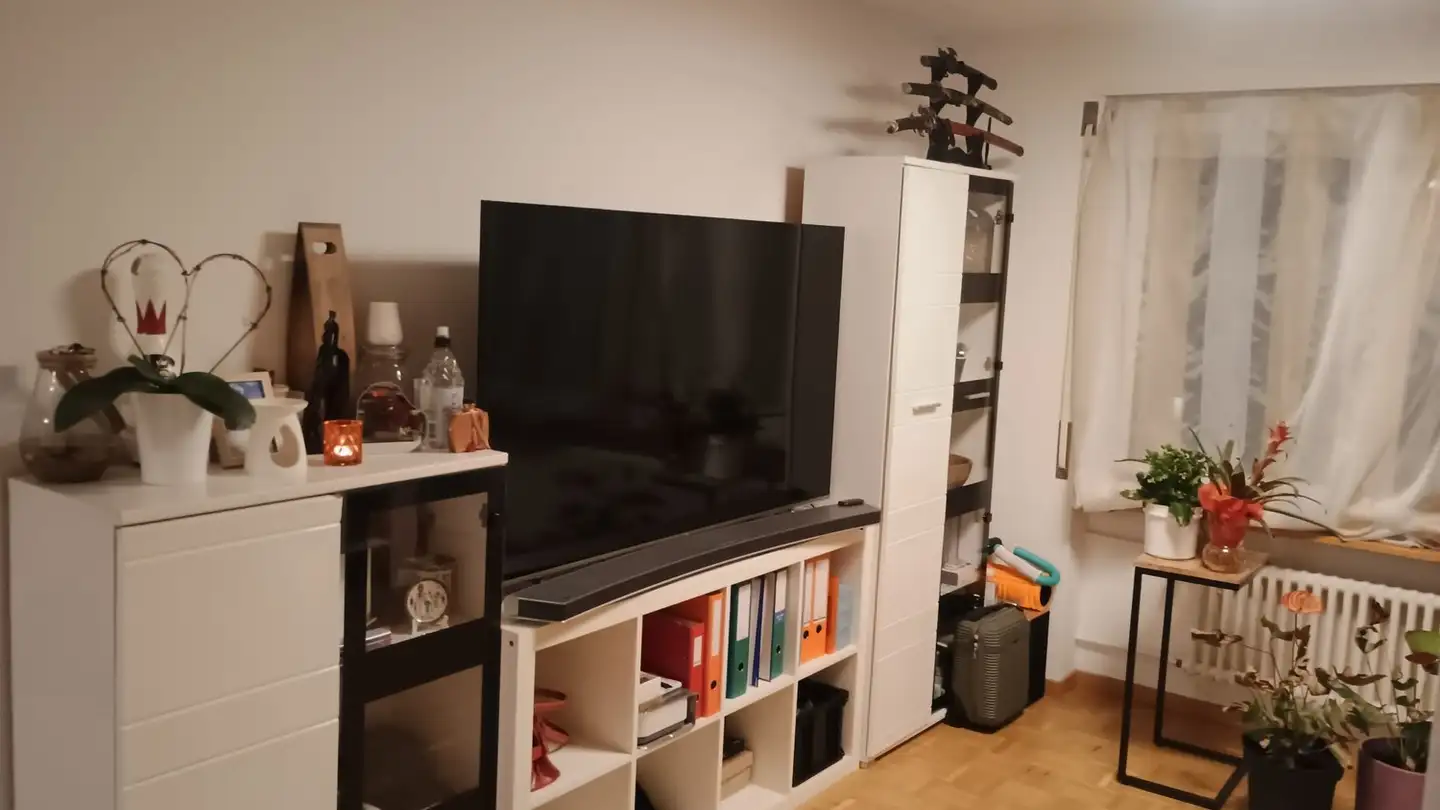 Appartamento in affitto - Landvogt-Waser-Strasse 14, 8405 Winterthur - Foto 2