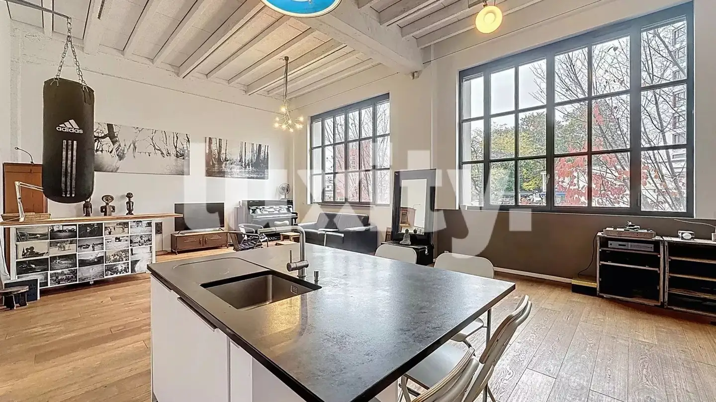 Loft à louer - 1203 Genève