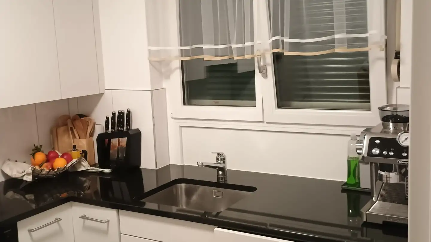 Appartamento in affitto - Landvogt-Waser-Strasse 14, 8405 Winterthur - Foto 4