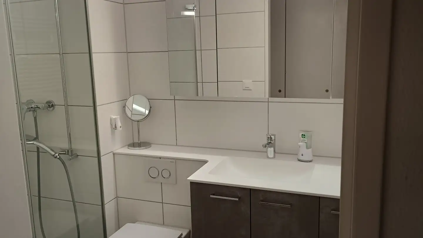 Appartamento in affitto - Landvogt-Waser-Strasse 14, 8405 Winterthur - Foto 3