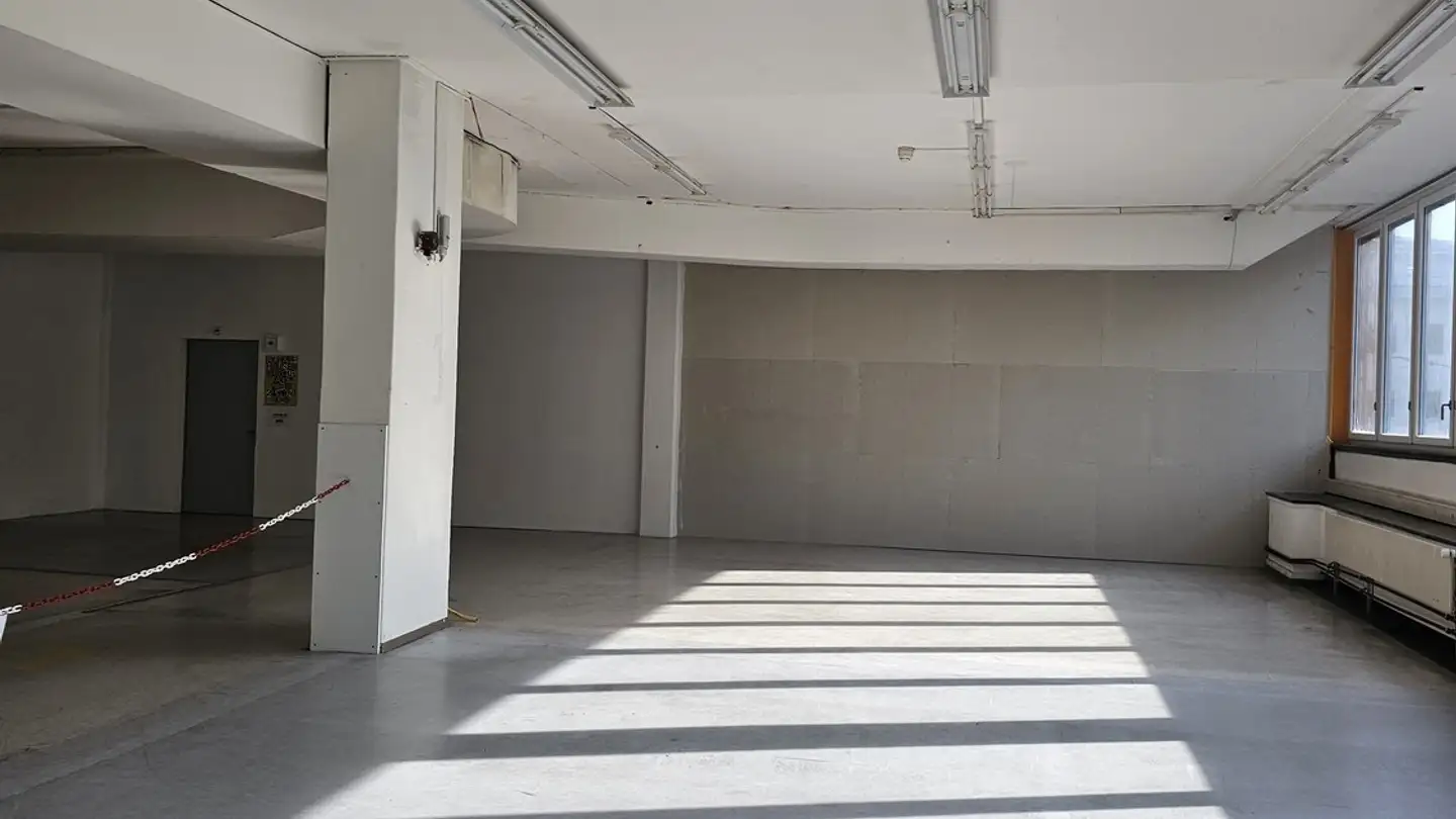 Gewerbe mieten - 8200 Schaffhausen