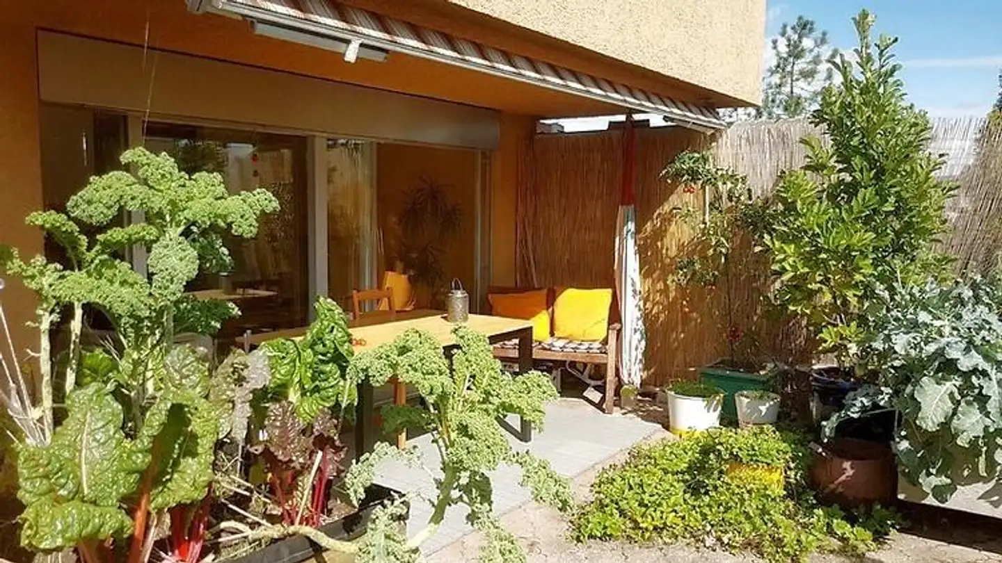Appartement meublé à louer - 8047 Zürich
