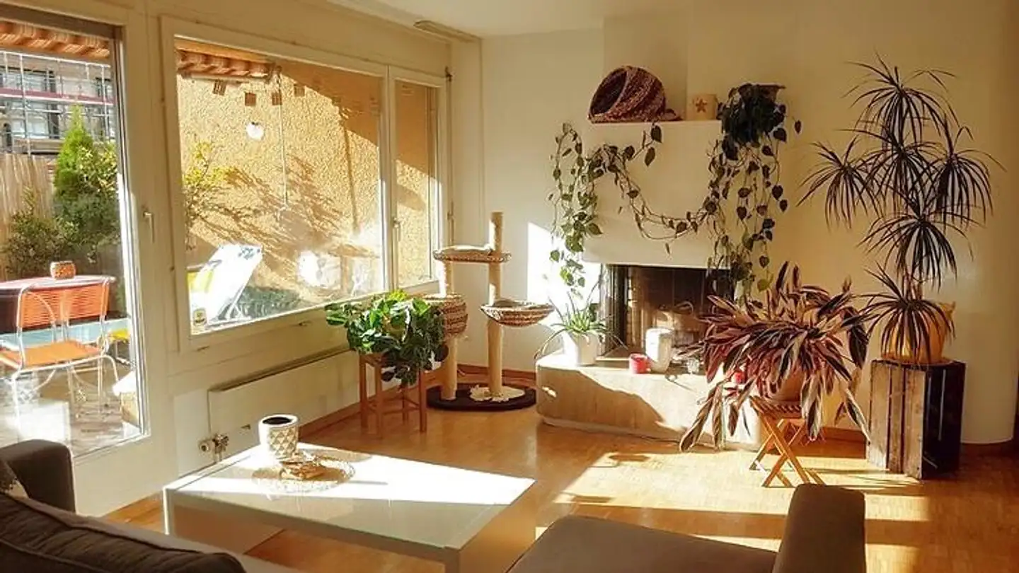 Appartement meublé à louer - 8047 Zürich - Photo 2