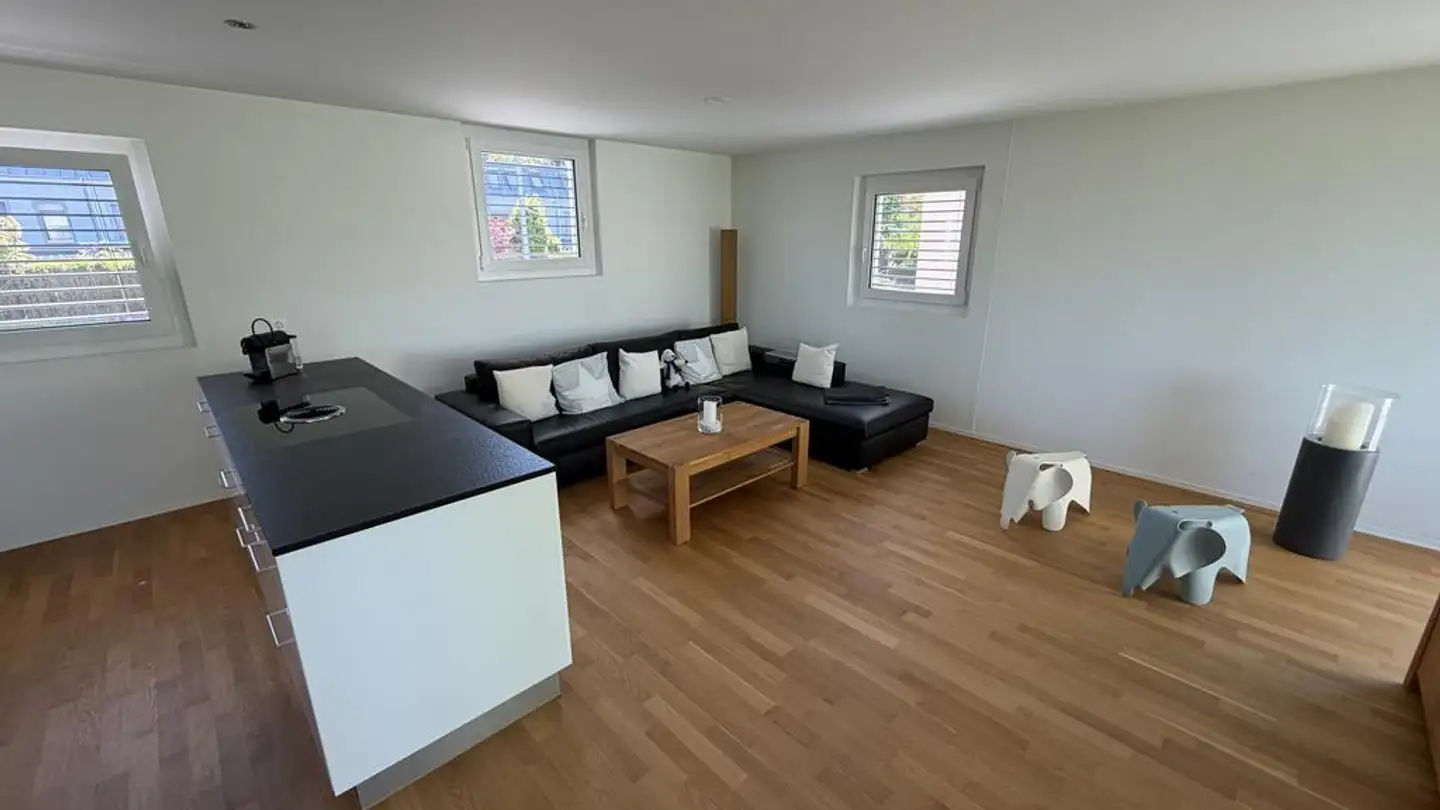 Duplex à vendre - Birseckstrasse 58, 4144 Arlesheim - Photo 2