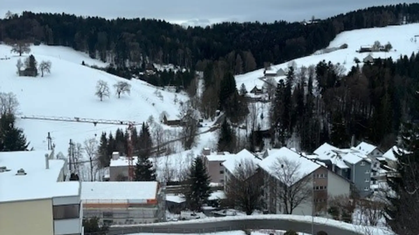 Appartement à louer - Bruggereggstrasse 19, 9100 Herisau - Photo 2