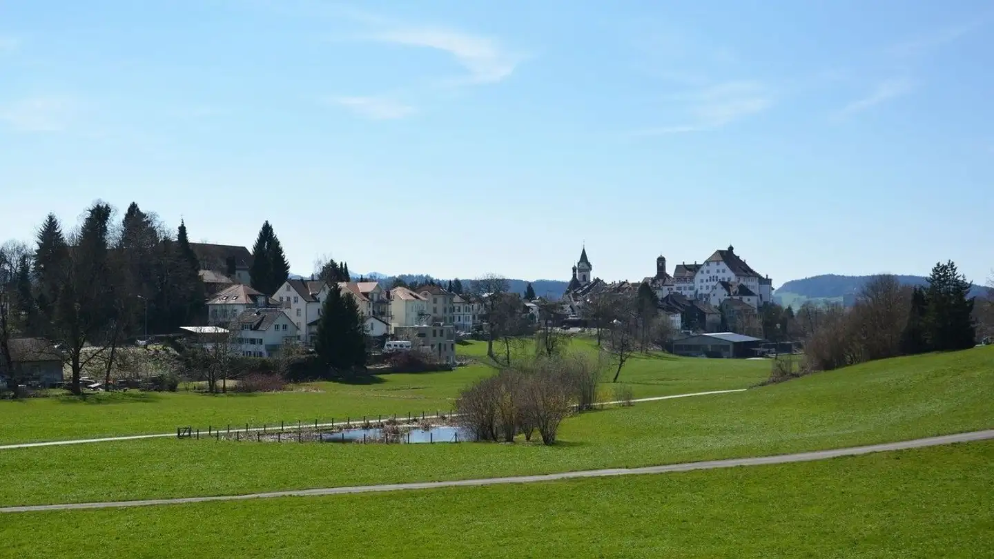 Dachgeschosswohnung mieten - Konstanzerstrasse 82, 9500 Wil SG