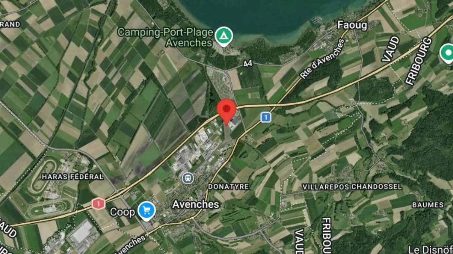 Industrial property for rent - Route de la Plaine, 1580 Avenches - Photo 4
