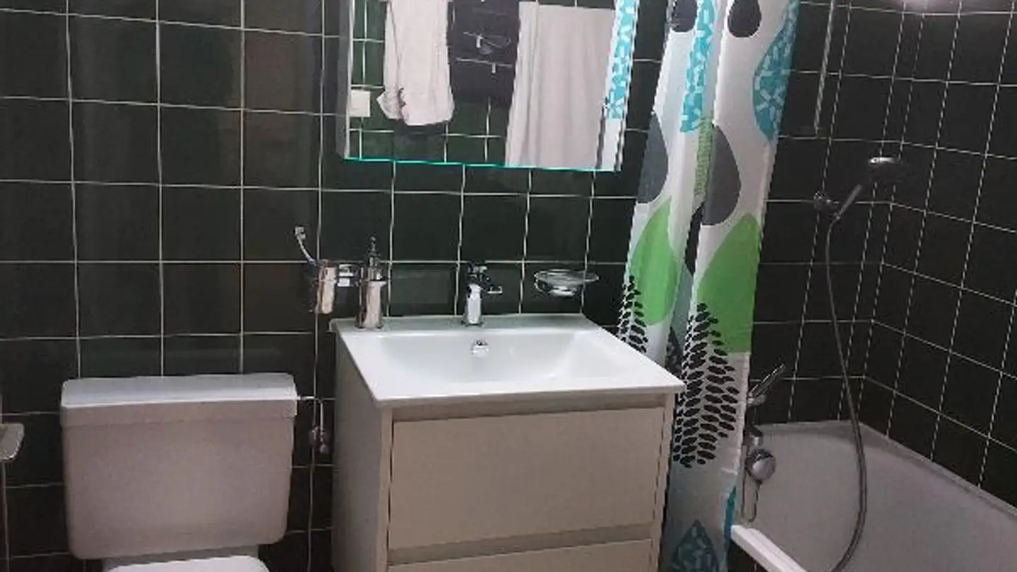 Appartamento ammobiliato in affitto - Speicherstrasse 63, 9043 Trogen - Photo 3