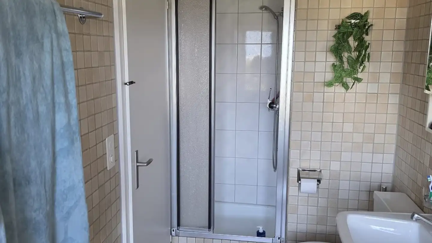 Appartamento ammobiliato in affitto - Restelbergstrasse 12, 8044 Zürich - Foto 4