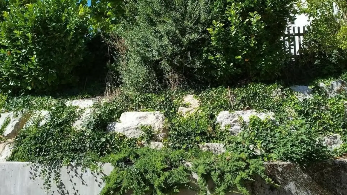 Appartement à louer - Clos Du Moulin 22a, 2742 Perrefitte - Photo 2