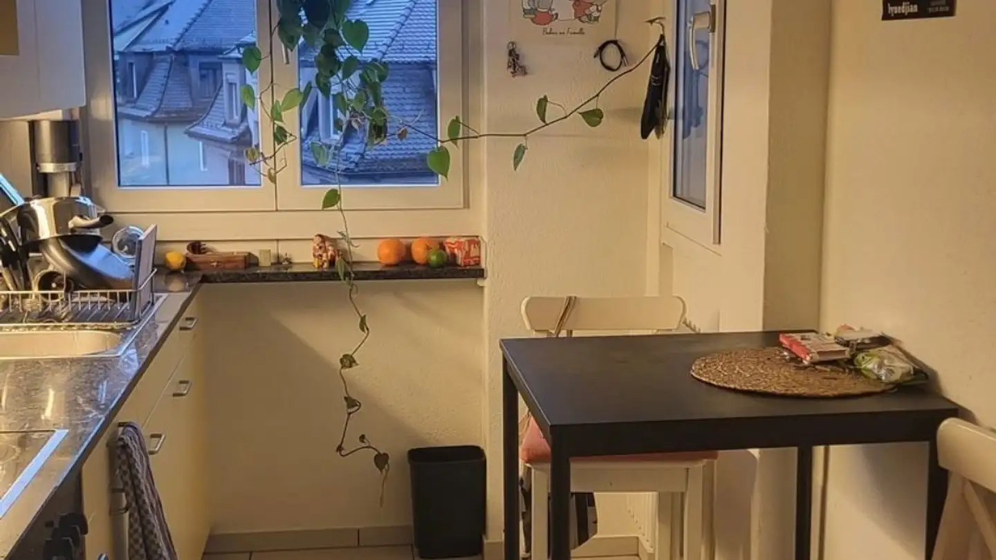 Wohnung mieten - 8055 Zürich