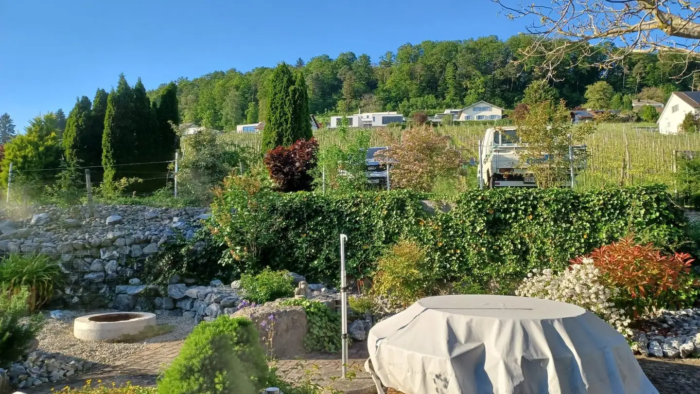 Zimmer mieten - 8248 Uhwiesen