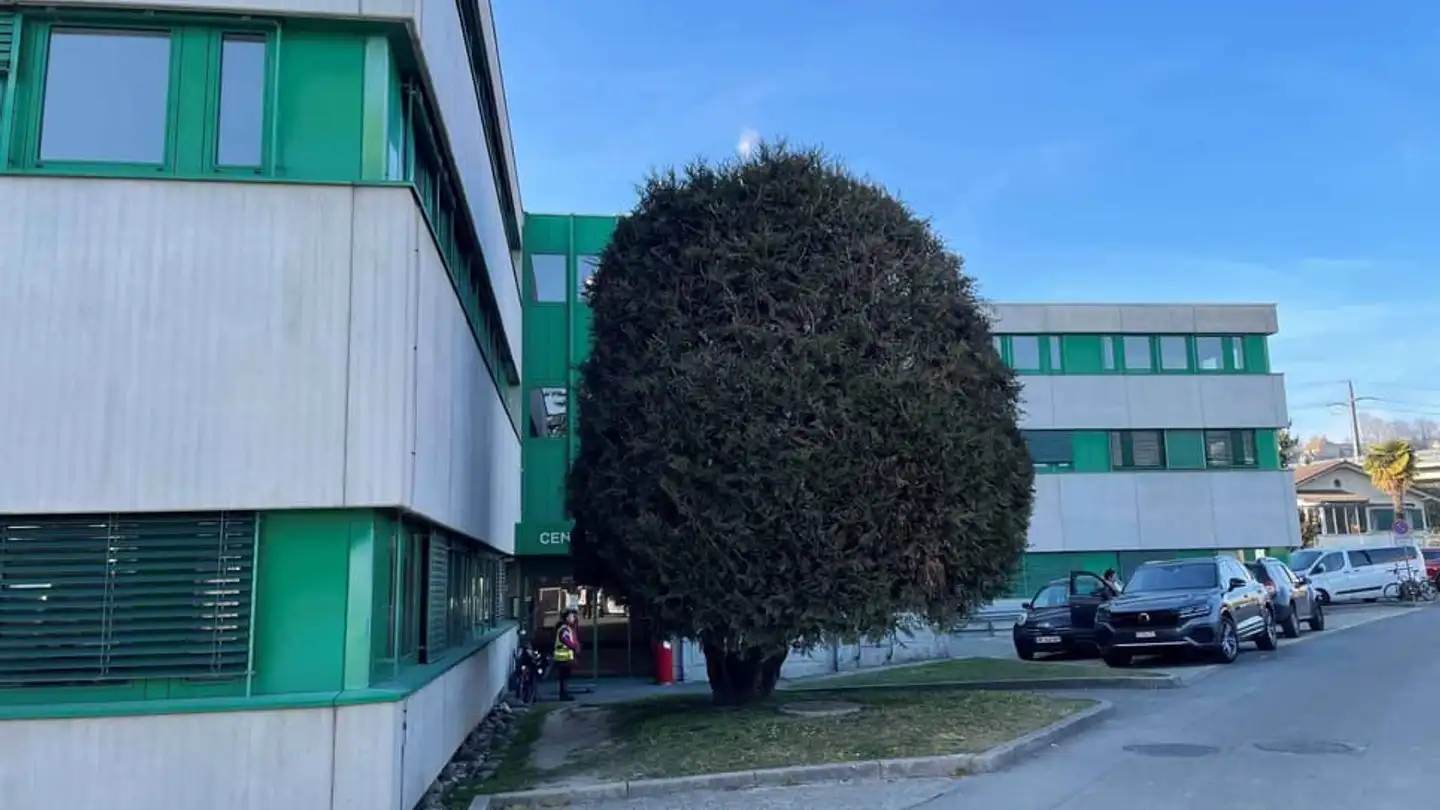 Commercial for rent - 1027 Lonay