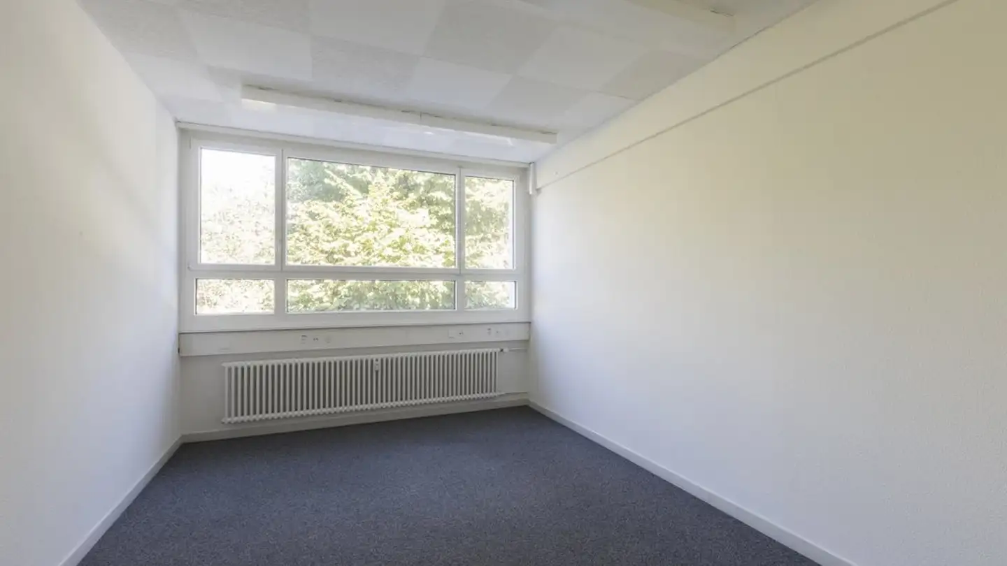 Office space for rent - Spalentorweg 20, 4051 Basel - Photo 3