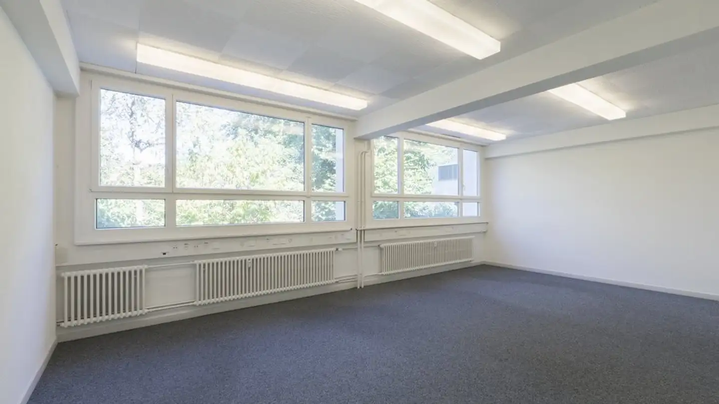 Office space for rent - Spalentorweg 20, 4051 Basel - Photo 4