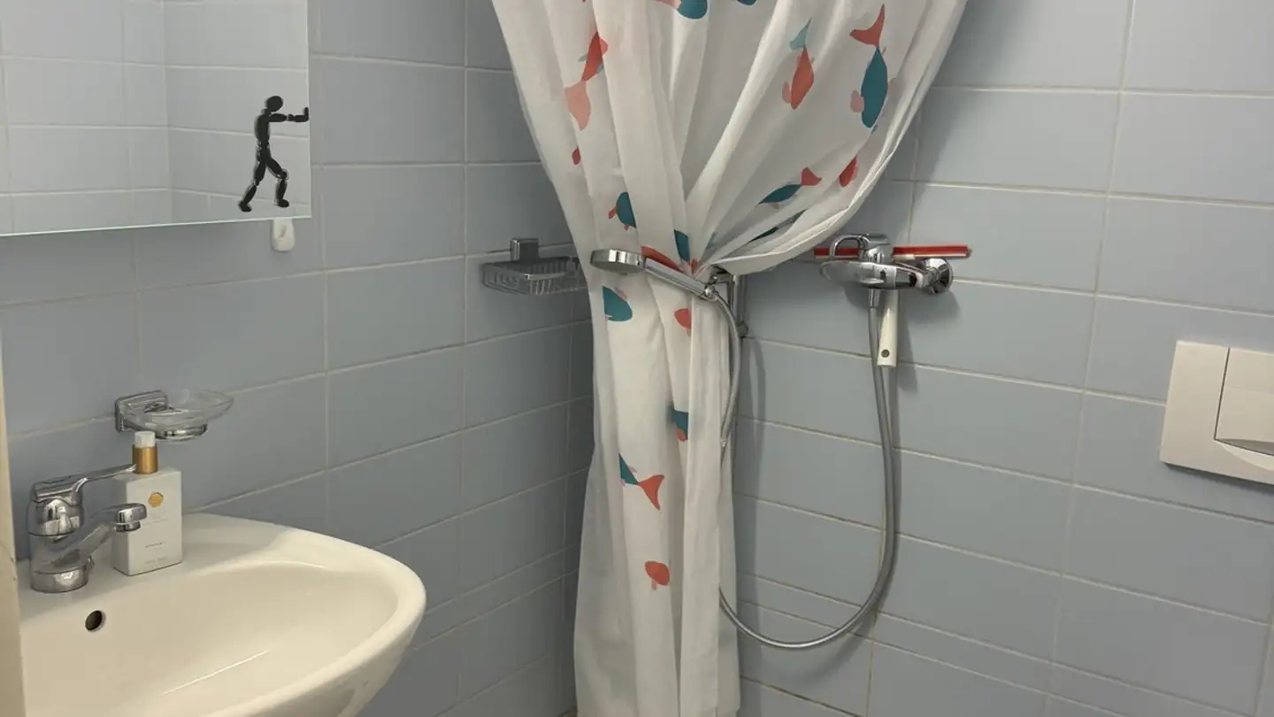 Stanza singola in affitto - 8606 Nänikon - Foto 3