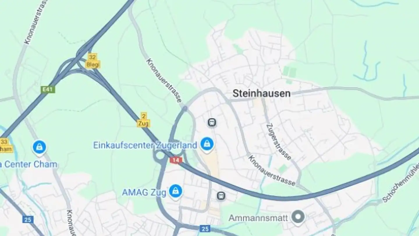 Apartment for rent - 6312 Steinhausen