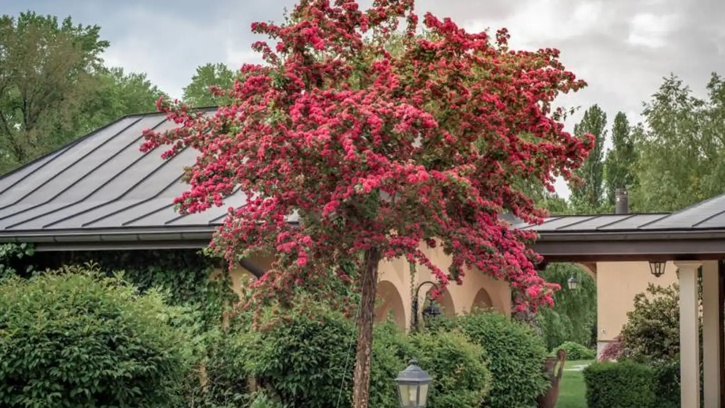 Casa singola in vendita - 1028 Préverenges - Photo 3