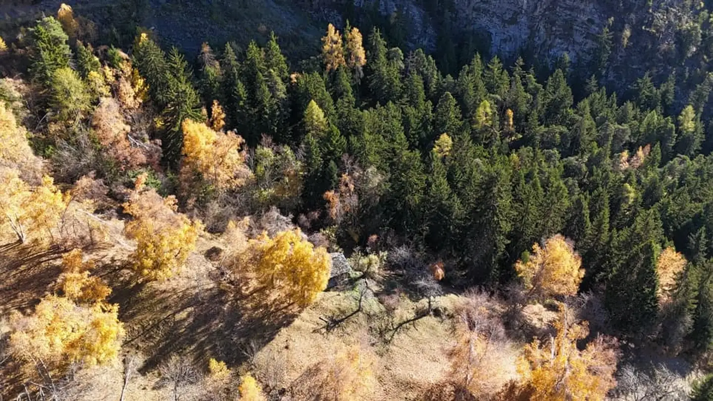 Terreno edificabile in vendita - 3955 Albinen - Foto 4