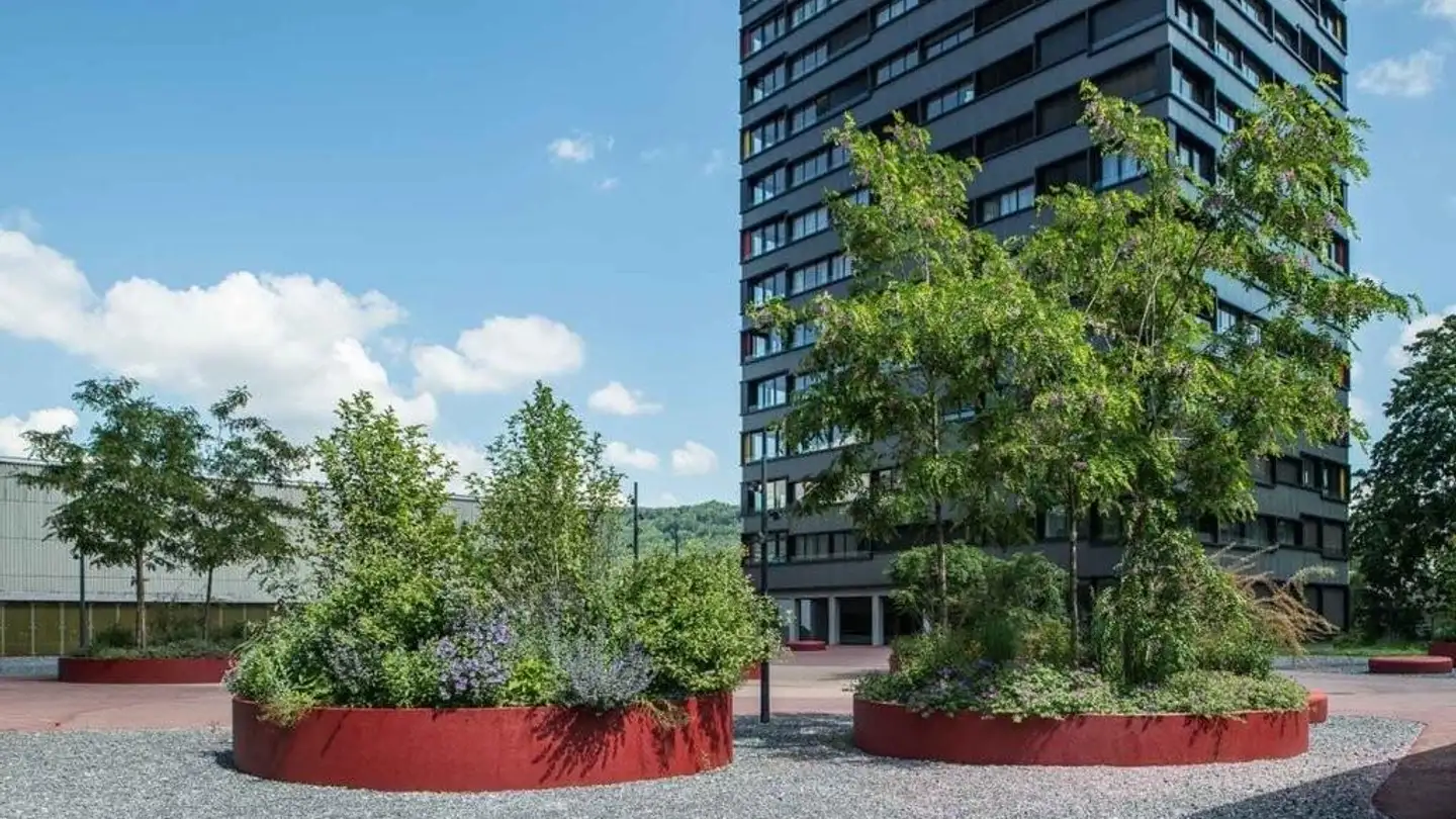 Appartement à louer - Wiesenstrasse 30b, 5400 Baden