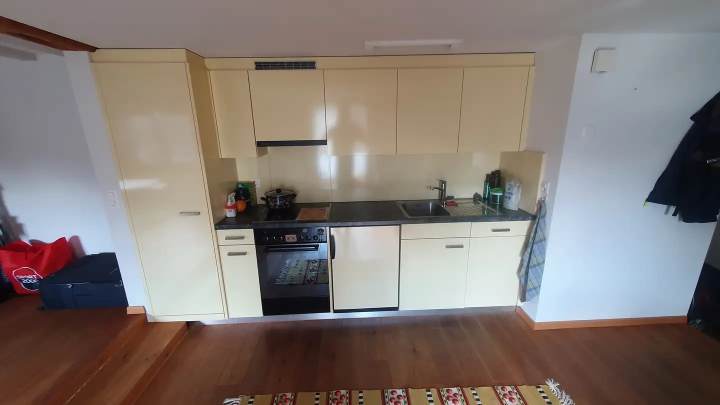 Appartamento in affitto - Unteroppikon 27, 9565 Oppikon - Foto 3