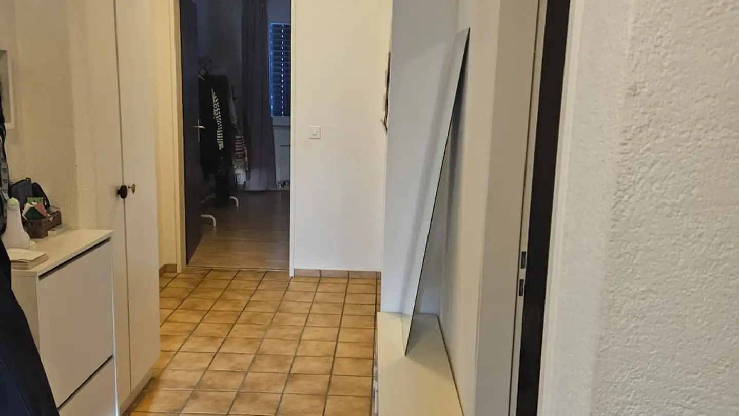 Appartamento in affitto - Lindstrasse 32, 8400 Winterthur - Foto 2